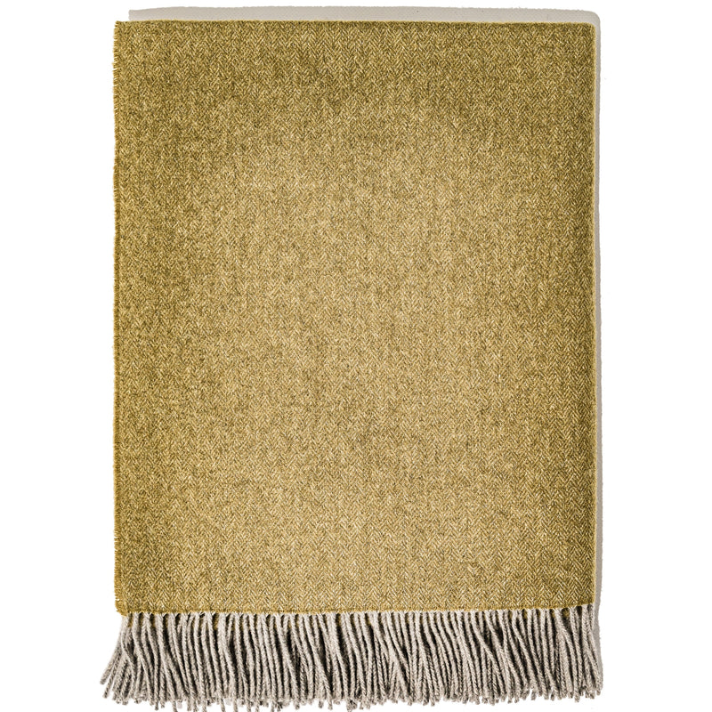 Cassiopea - Throw Rug