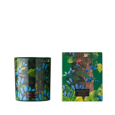 Vila Hermanos - Jungletopia Collection - Blue Butterfly - Candle